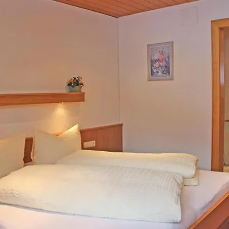 Apartment Garni Drei Wannen Damuels